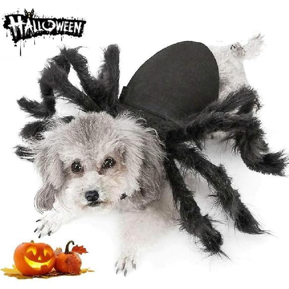 Dog Cat Spider Costume for Halloween Party Decoration, Halloween Cosplay Costumes for Small Dogs and Cat, Puppy Dress Up Accessories