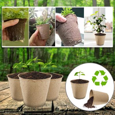Torf-Setzlingstopf, 8 cm, Setzlingsbecher, runder Blumentopf