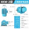 Xijiaer 4KW 2-Pole Three-phase Electric Motor CN Plug (adapter Included)