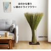RushDried FlowersAir Freshener Tatami Scent Mild Fragrance Rush Is Not Strong Interior Japanese Crafts Small Goods Gift Souvenir 70cm
