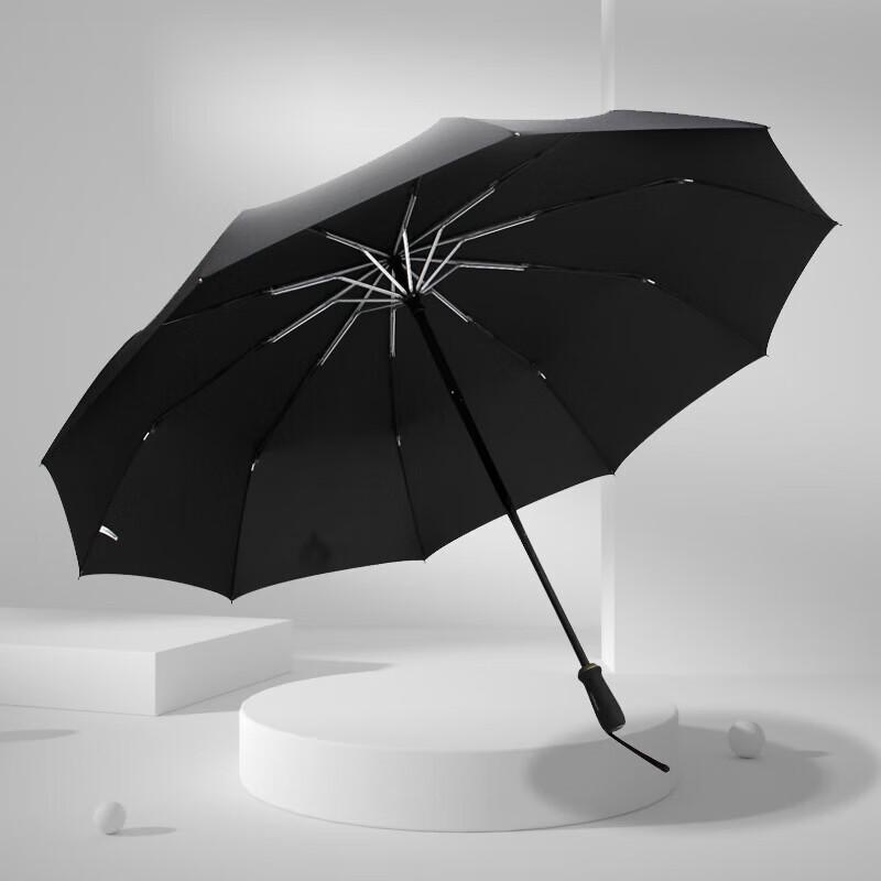 MAYDU Large Automatic 10-Rib Foldable Umbrella