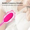 2in 1 Strong Vibrator for Women Vaginal Ball Massager Anal Clitoris Stimulator Vibrating Egg Sex Toys for Couples Adults Product