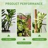 5pcs Frog Plant Support Frame Green Animal Frog Decorative Plant Rack