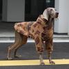 Winter Warm Dog Hoodies,Pet Hooded Pullovers For Large Breeds,Classic Christmas Printing Dogs Sweater Pajamas,For Husky Whippet