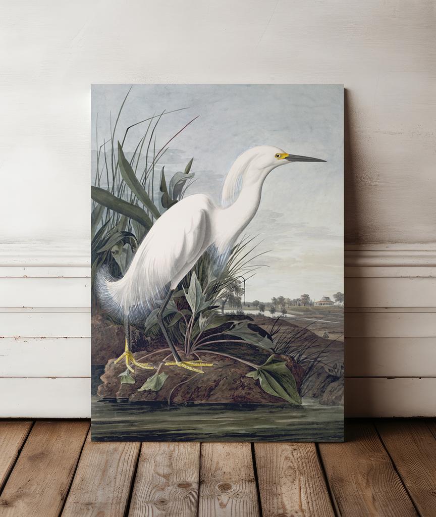 Canvas Painting White Bird Wetland Swamp