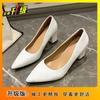 2025 Spring, Summer and Autumn Design Sense Niche with Skirt Not Tired Feet Single Shoes Small Pointed Thick Heel Temperament High Heels