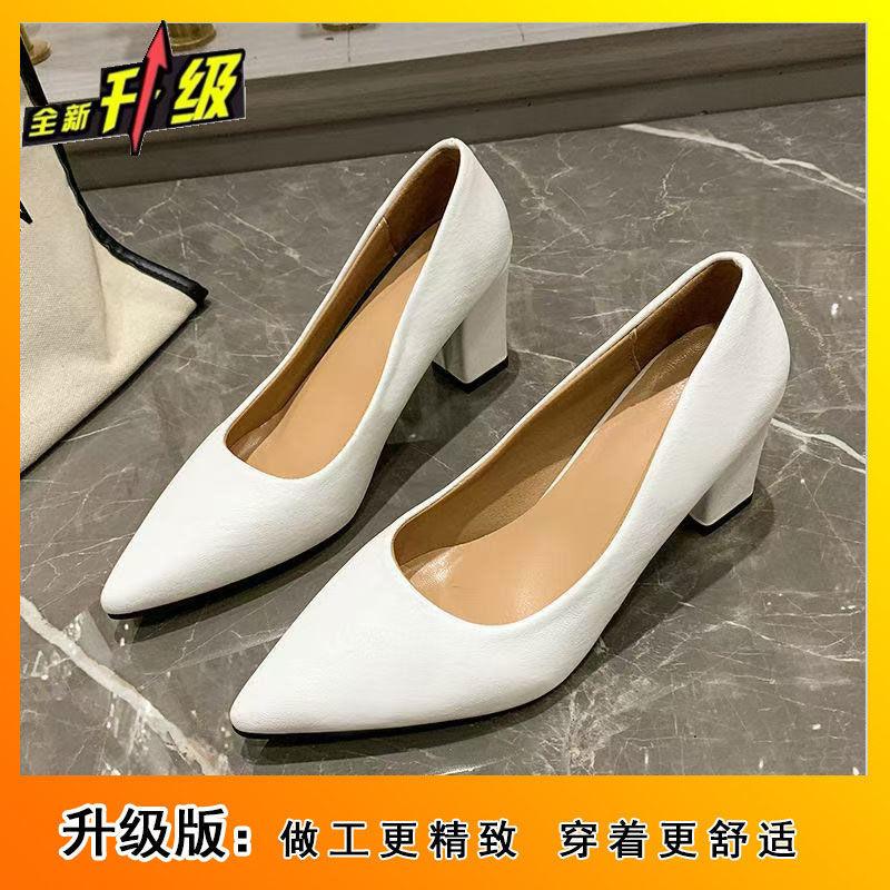 2025 Spring, Summer and Autumn Design Sense Niche with Skirt Not Tired Feet Single Shoes Small Pointed Thick Heel Temperament High Heels