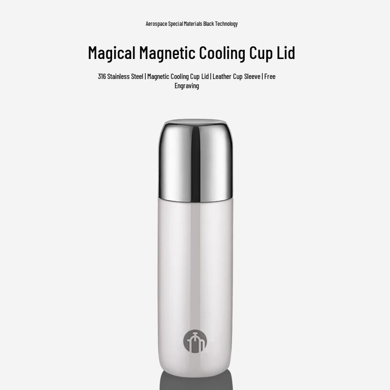 FUGUANG Tea Master 316 Stainless Steel Thermos Cup 300ml