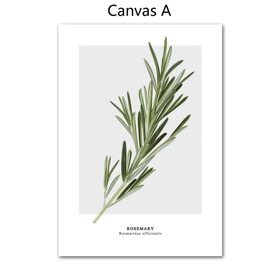 

Розмарин Кофеин Артишок Лимон Кухня Скандинавские Постеры Настенное Искусство Холст Живопись И Принт Настенная Картина Для Декора Гостиной 21X30cm No Frame