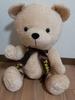 [USED] Anonymous Shipping: Teddy Bear Plush Toy
