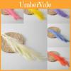 Phragmites Australis Artificial For Wedding Decor With Colorful Feathers And Wall Art Display