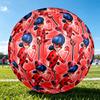 1pc Ladybug Pattern Standard Size 5 Soccer Ball, Gentle on the Feet, Designed Specifically for Matches and Training Football