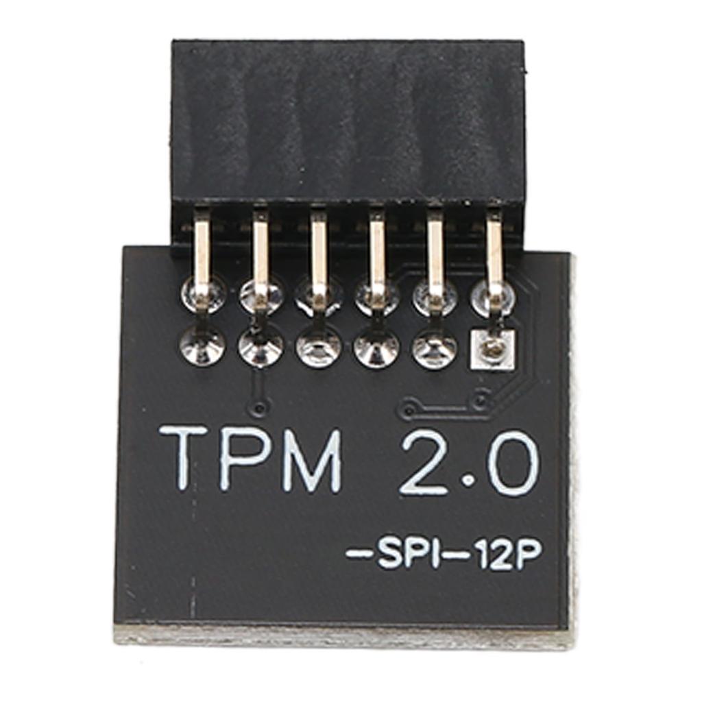 TPM2.0 Encryption Security Module for GIGABYTE Mainboard SPI 12Pin Security Module for WIN 11 2.0
