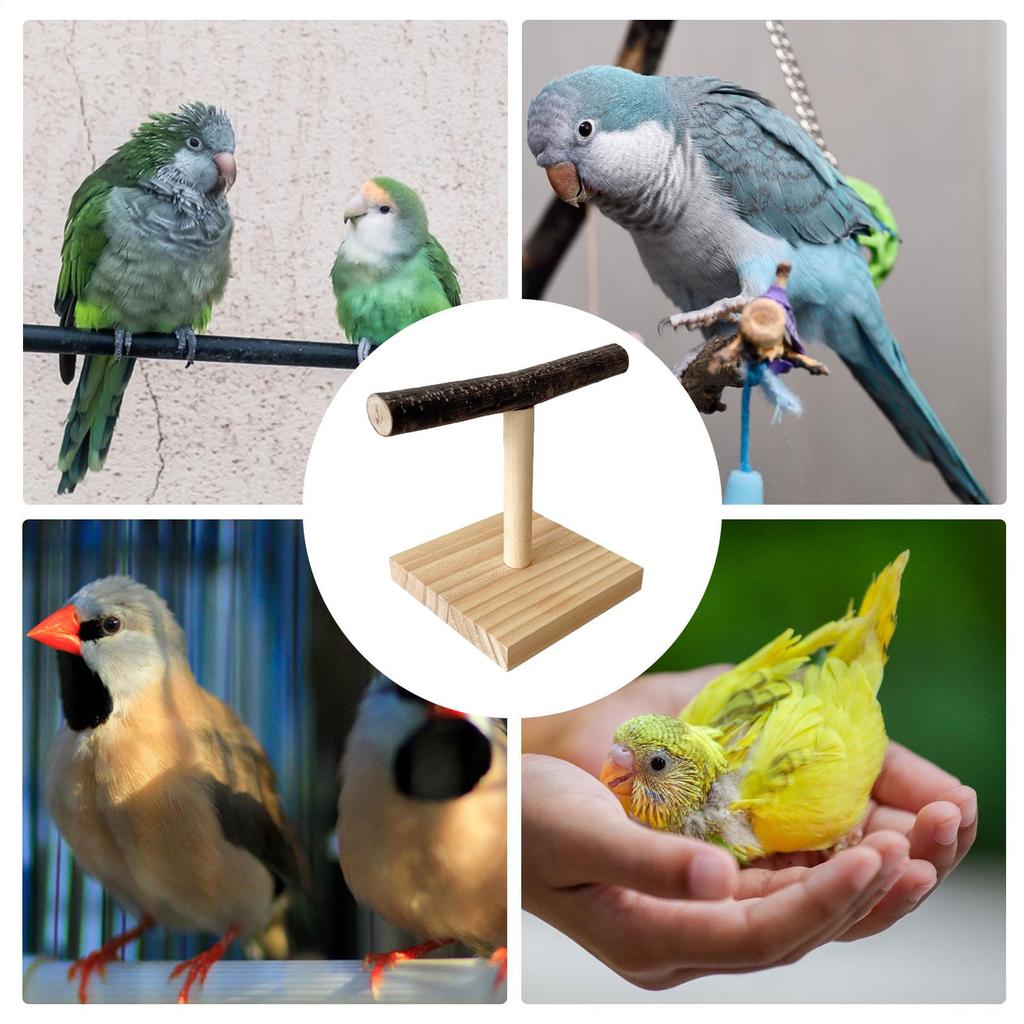 Natural Desktop Stand Pet Parrot Raw Wood Fork Tree Branch Stand Rack Perch PlatformCage Accessories For Parrotlets
