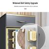 Tiger Home Fingerprint Password Drawer Safe