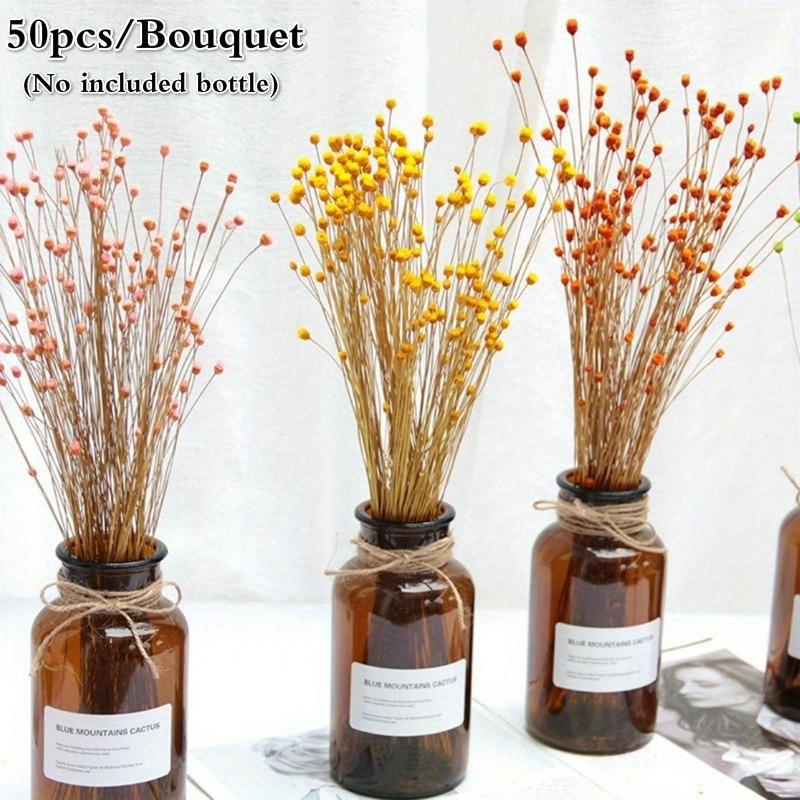 50 Stück/Strauß Brasilien Happy Flower Echte Blume Natur Echter Kleiner Trockenblumenstrauß