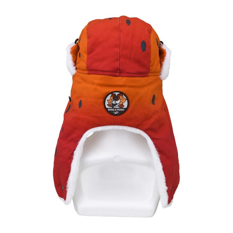 POKEMON Středová zimní čepice Přineste si piknik! Vulcamos, 9782068493, Populární Pokémon v Koreji