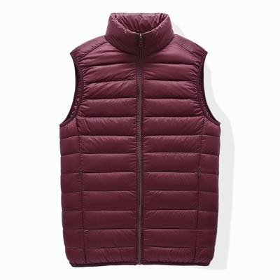 Takım elbiseler ve blazer ceketler – Yelekler