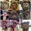 Lion Modelling Winter Autumn Pet Hat Wig Cap Hat Lion Mane Pet Cosplay Outfits Pet Costume