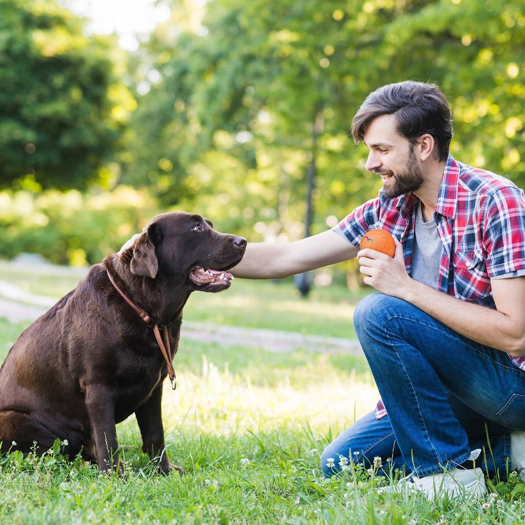 Pelota Rodante Inteligente para Mascotas Juguete para Perros Pelota, Pelota Saltarina con Control Remoto