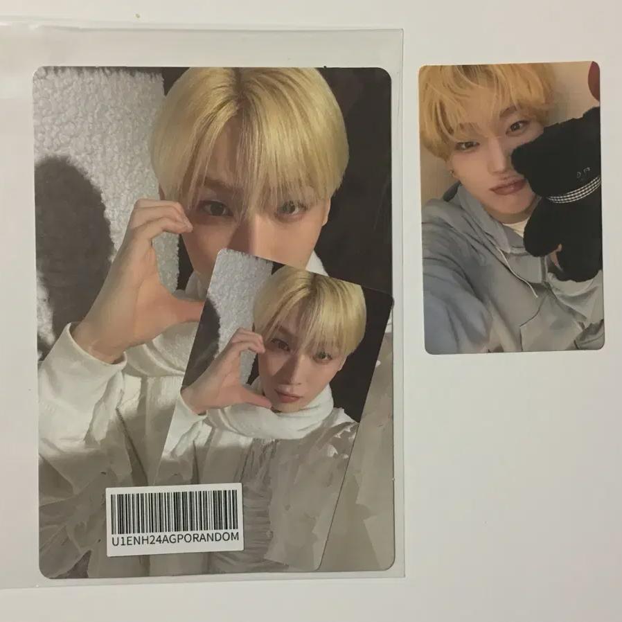 

Enhyphen Sunwoo Foca Batch