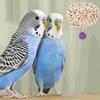 With Hook Bird Chewing Toy Woven Cage Hanging Toy Parrot Teething Toys  For Birdcage Parakeet