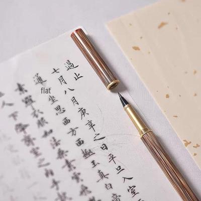 Disegno – Pennelli per calligrafia