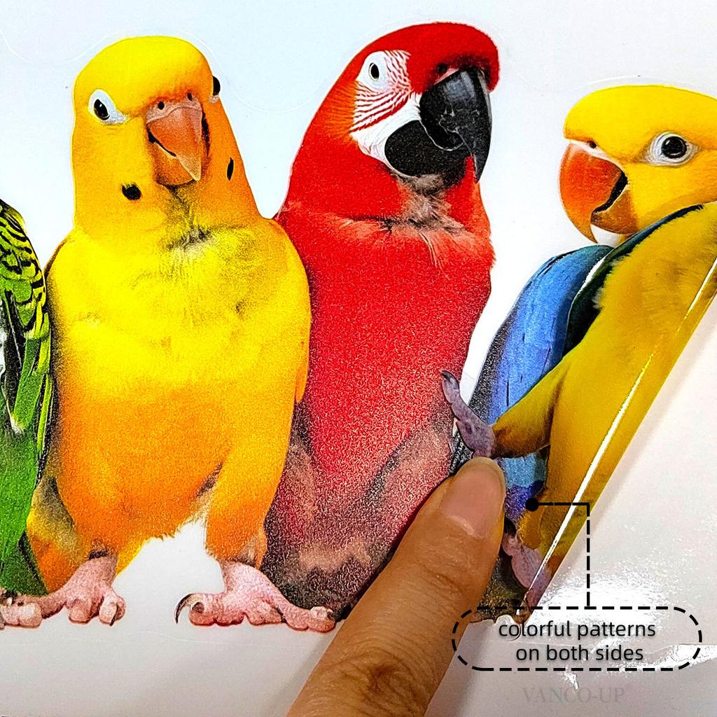 Cartoon Colorful Parrot Static Window Stickers, No Glue Removable Glass Decals for Home Decor