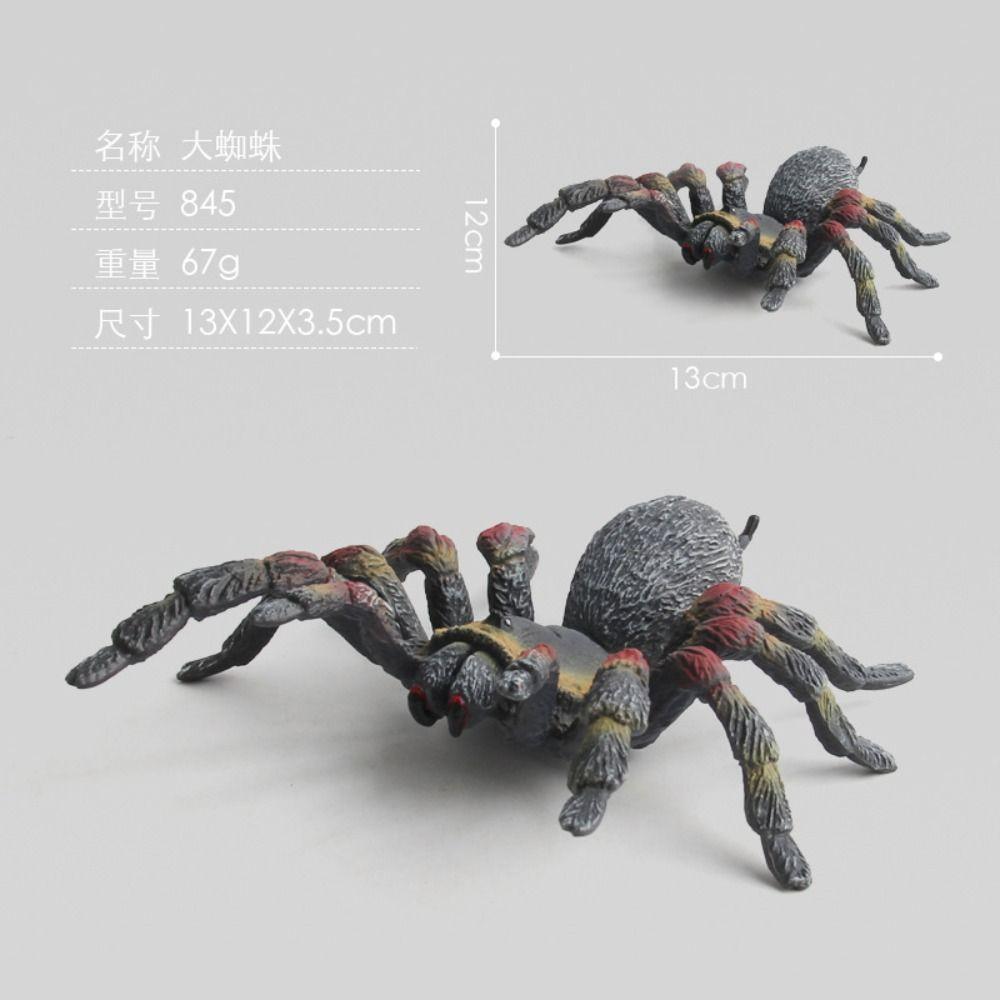 Ornamente Halloween Gruselige Requisite Spinne Actionfiguren Spinnenmodell Spielzeug Simulationsspinnenfiguren