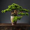 Simulation Plant Bonsai Welcome Pine Ornament Desktop Zen Retro Bottle Fake Tree Potted Hotel New Chinese Decoration