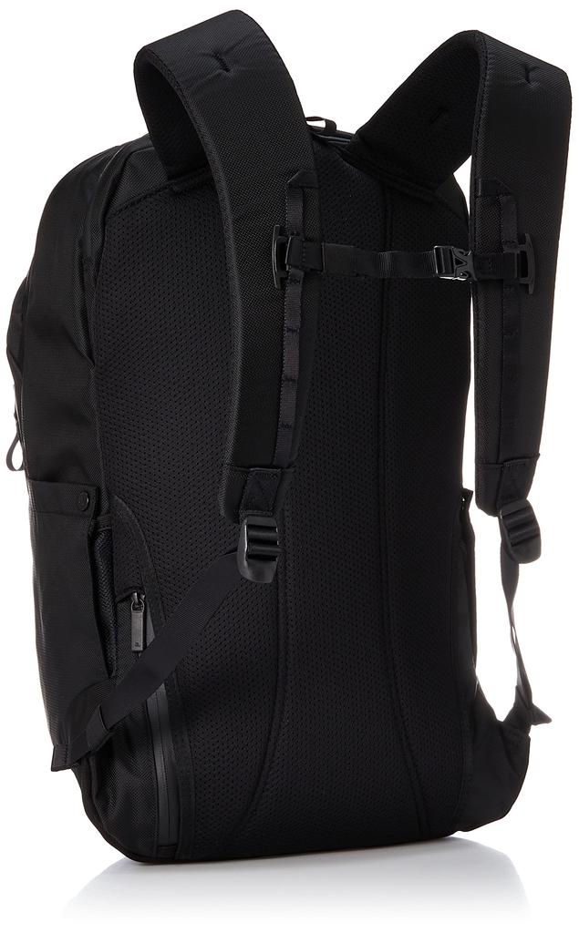 Ace Gene Business Backpack, B4 Size Compatible, Water-Resistant, Fits 15.6-inch Laptops, Air Mesh Backing, Rugmaster No. 67813, Men's, Black
