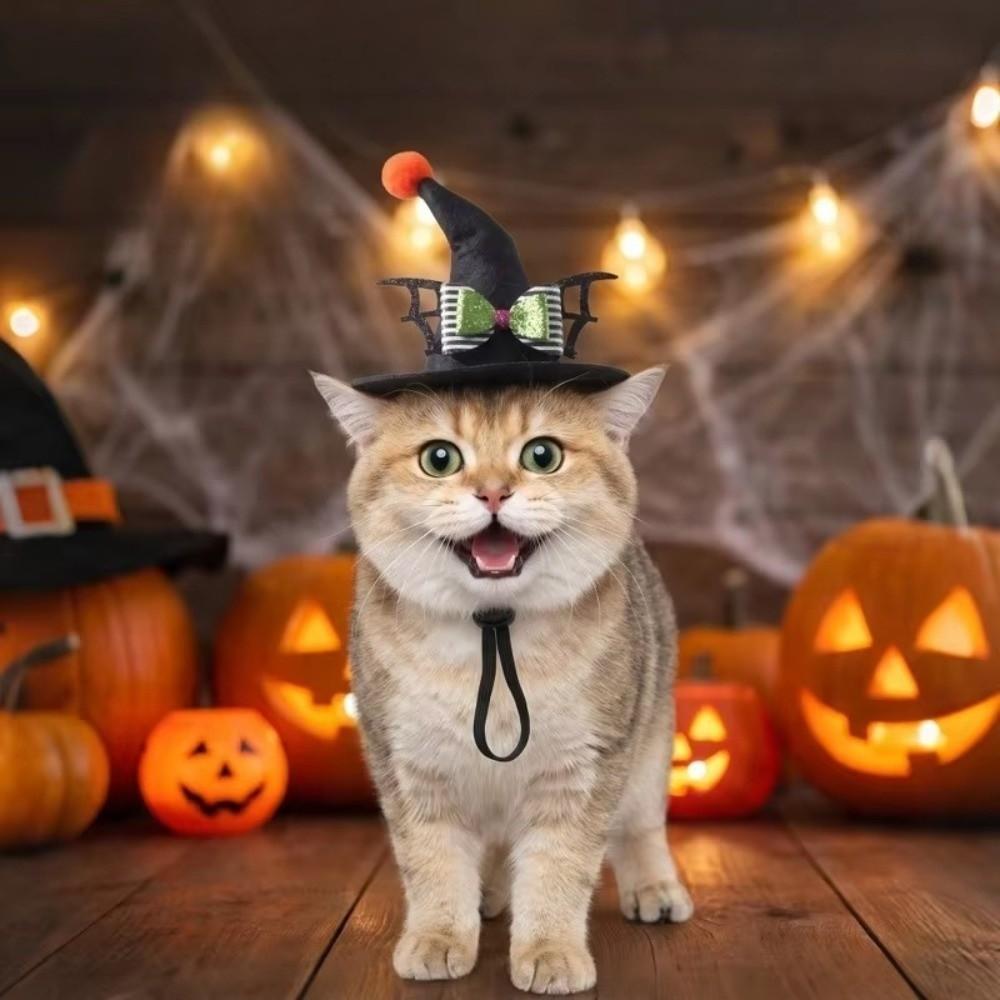 Adjustable Strap Pet Halloween Witch Hat Curved Top Dog Halloween Party Hat  Holiday Decoration