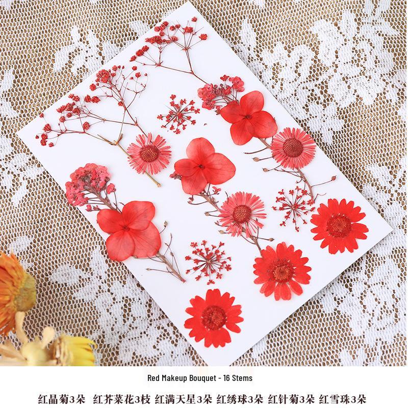 Nordic Simple Acrylic Photo Frame - 6-7 Inch DIY Dried Flower Pressed Specimen