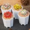 20 PCS Octagonal Flowerpot Plastic Flower Pots Set White Plant Pot with Drainage Holes Indoor Outdoor Succulents Growth Pots ZYF