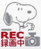 Snoopy Car Supplies Car Sticker Stylish 3D Plated Emblem Type