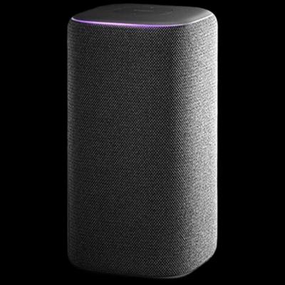 Xiaomi Smart Speaker Pro CN-Stecker (Adapter enthalten)