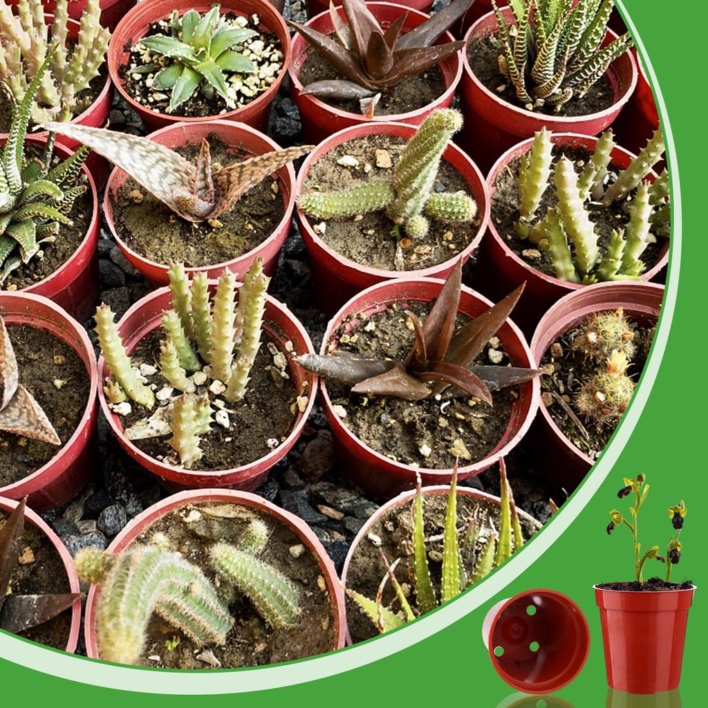 100Pcs Plastic Flower Pots 2.1In Mini Plastic Plant Pot Small Flower Pots Round Plant Nursery Pots With Drainage Holes For Seeds