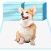 Super Absorbent Quick-Dry Disposable Pet Pee Pads for Dogs & Cats – Healthy Training Nappy Mat