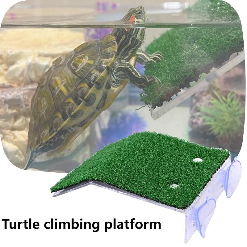 Abs Material Turtle Sunning Platform For Fish Tanks Small Medium And Large Sizes