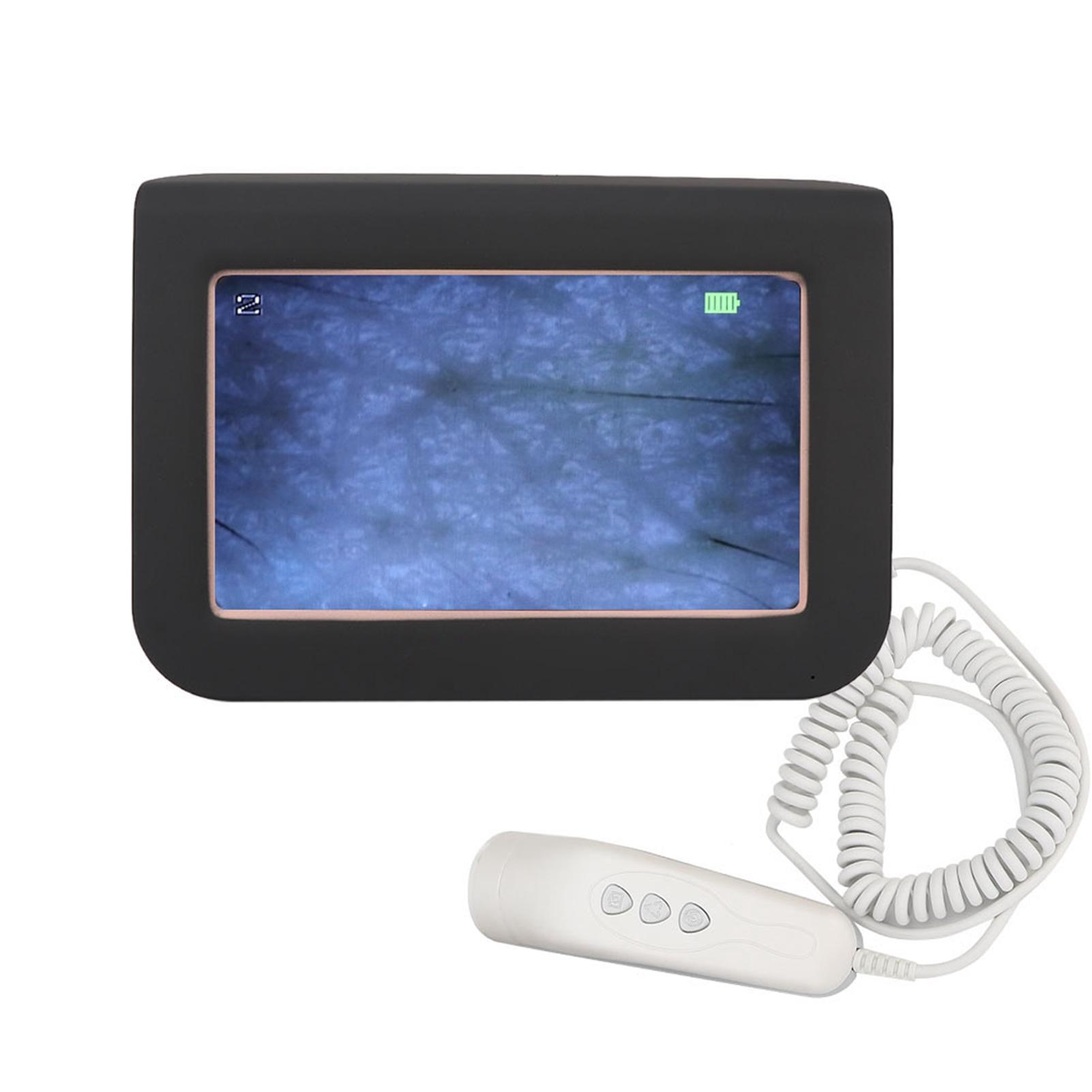 

Беспроводной 50X 200X HD детектор кожи волос кожи головы анализатор микроскоп инструмент для ухода за кожей US Plug