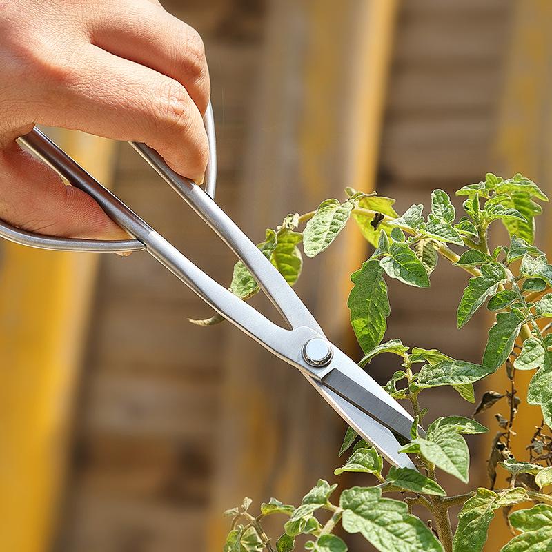 Edelstahlschere Gartenarbeit Pflanzenschere Blumenschneiden Blumenschere Blumenladen Schere Blumenladen Schere