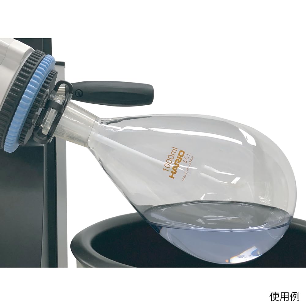 Hario NFJ-100-24.40-SCI Common Ground Eggplant Flask, 100mL, TS2440