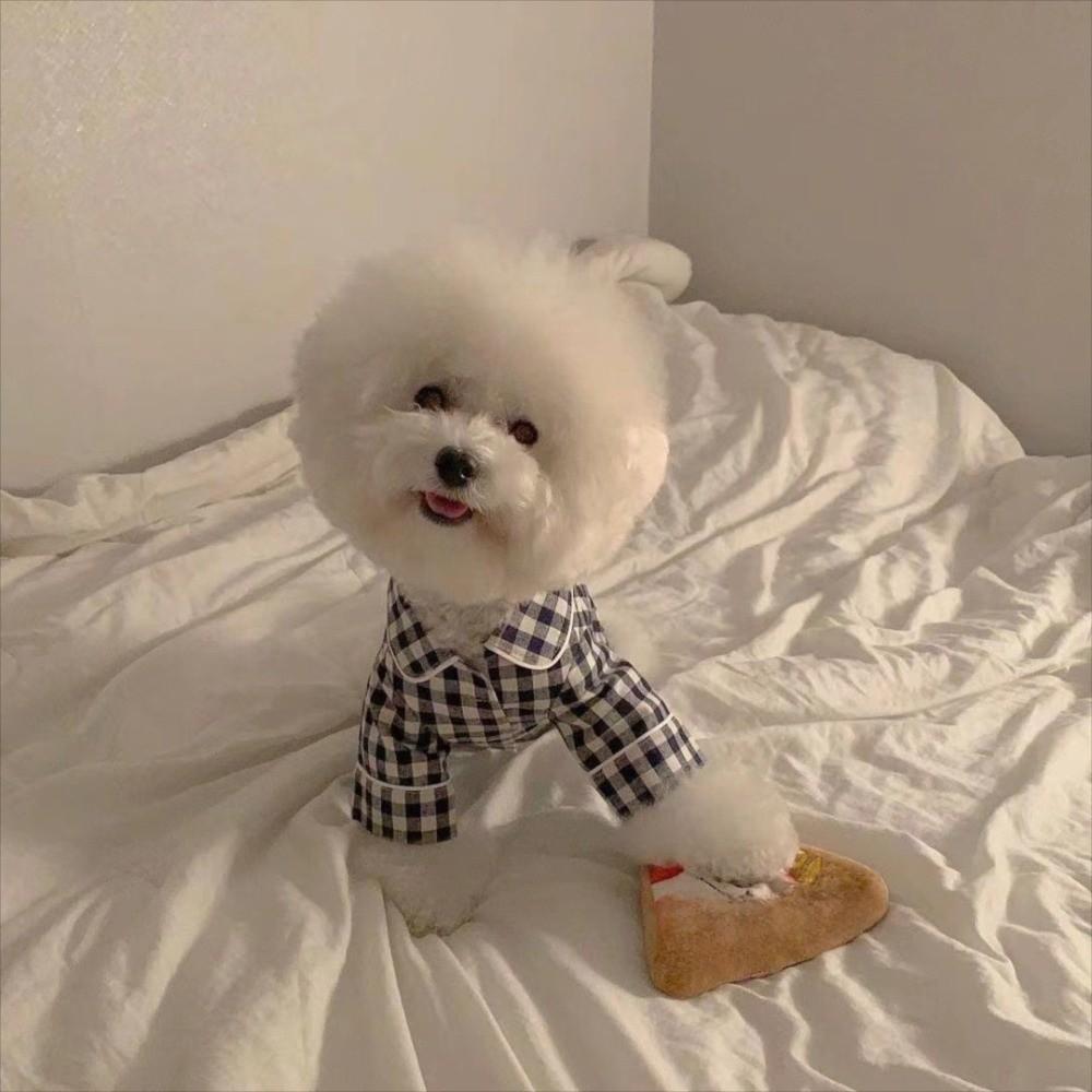 Pet Decoration Comfortable Ins Plaid Shirts Pet Clothing Elegant Cute Dogs Pajamas Fashion Costume Cat Dog Clothes Proposal