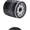 Motorcycle Engine Bike Oil Filter For Harley RA1250 1ZDS RA1250S 1ZES CVO PAN AMERICA RA1250SE 1ZGS RH975 RH975S 1ZH1 NIGHTSTER
