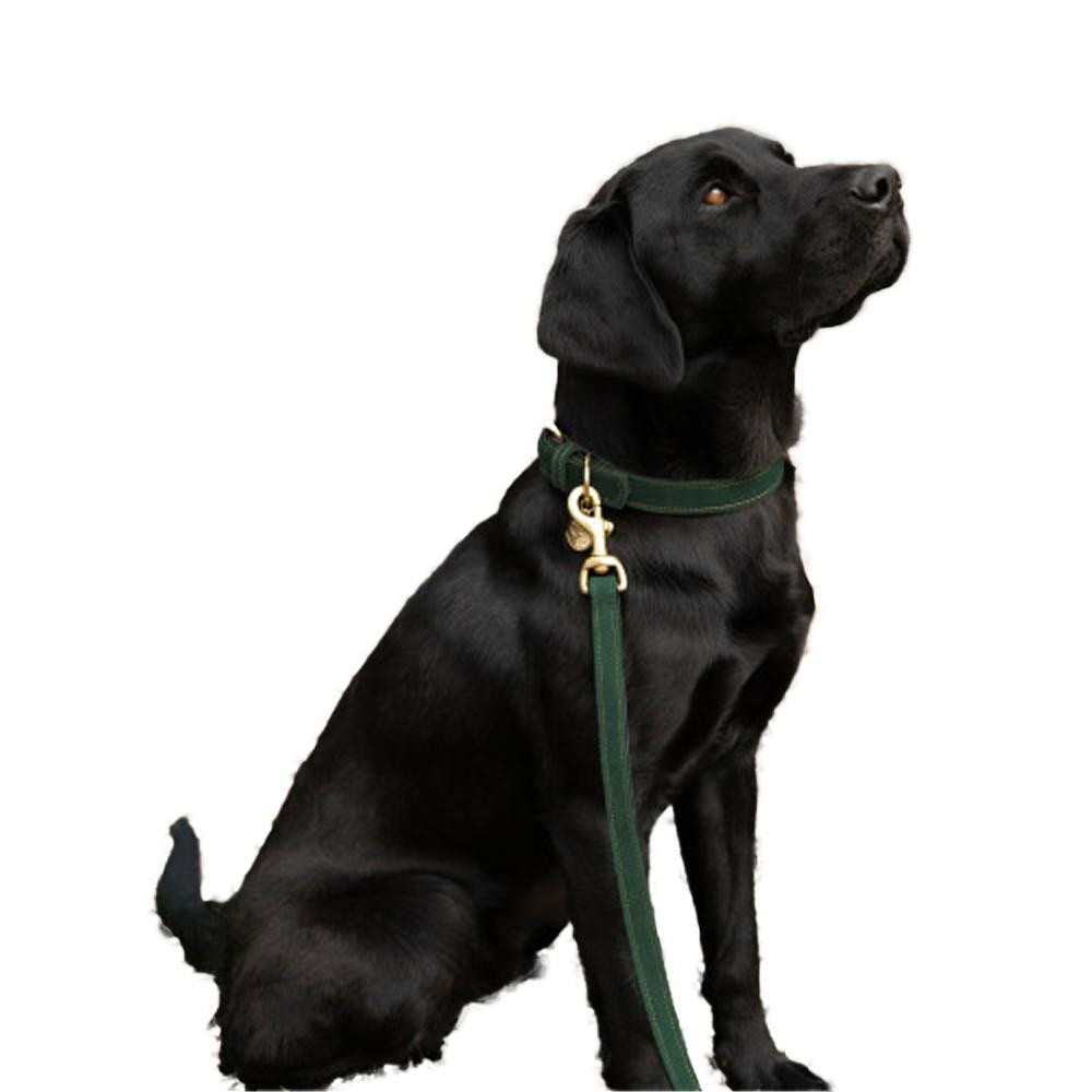 Benji & Flo Noble Suede Dog Lead