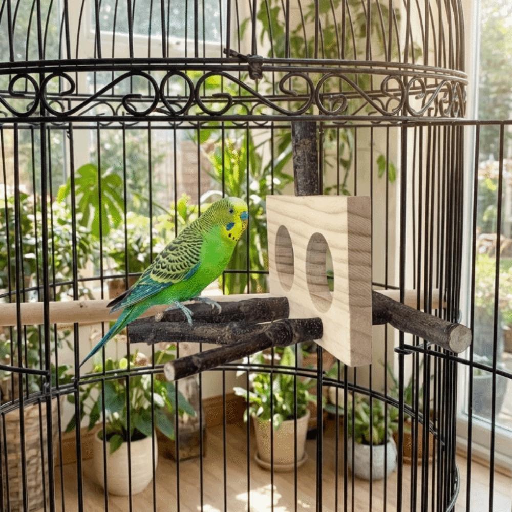Natural Wood Bird Branch Stand Double-hole Perch Wear-resistant Bird Stand Perch Detachable Chew-able Beak Grinding Toy