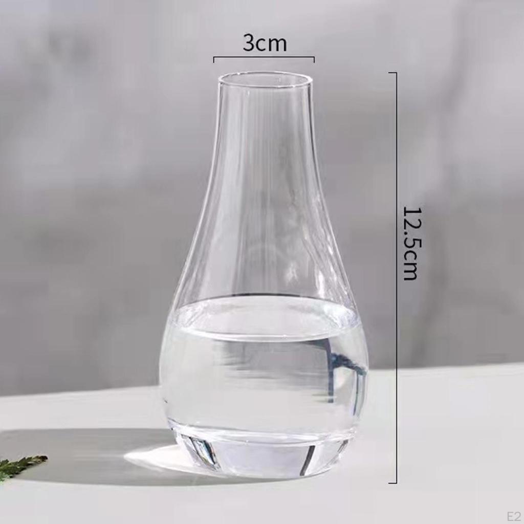 Bud Vases Glass Decor Creative Planter Pot Bottle Flower Vase Narrow Mouth