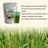 250g Organic Barley Grass Powder |USDA Certified | PREMIUM Grade