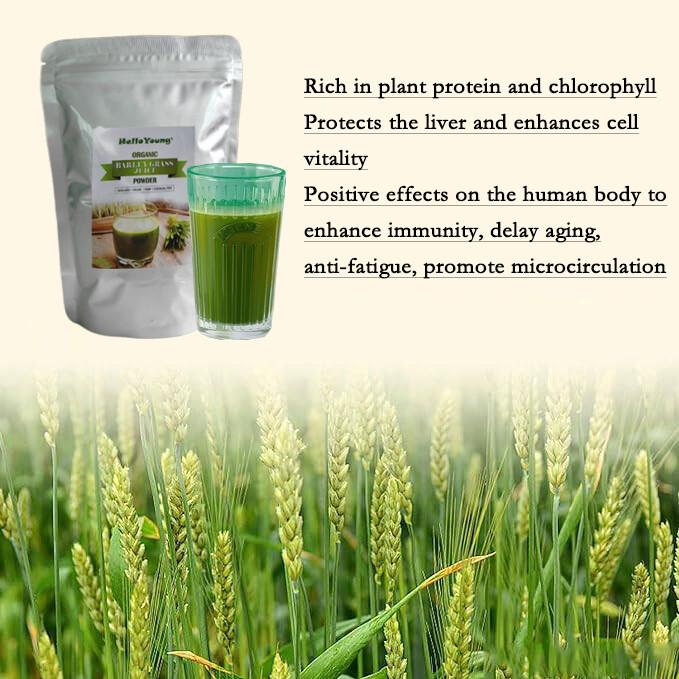 250g Organic Barley Grass Powder |USDA Certified | PREMIUM Grade