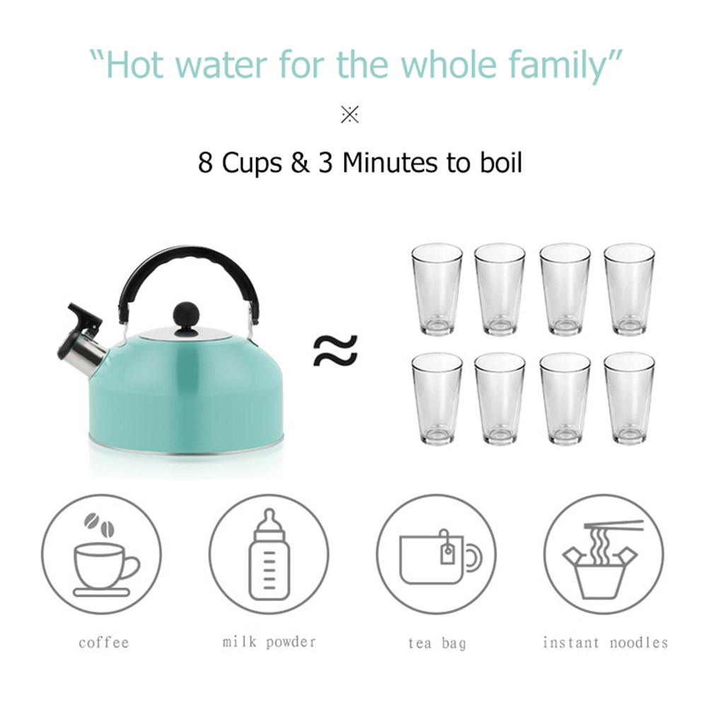 3L Household Flat Bottom Kettle Steel Gas Stove Cooker For ALL Stove Tops Gas Kettles Boil Water Kitchen Accessories